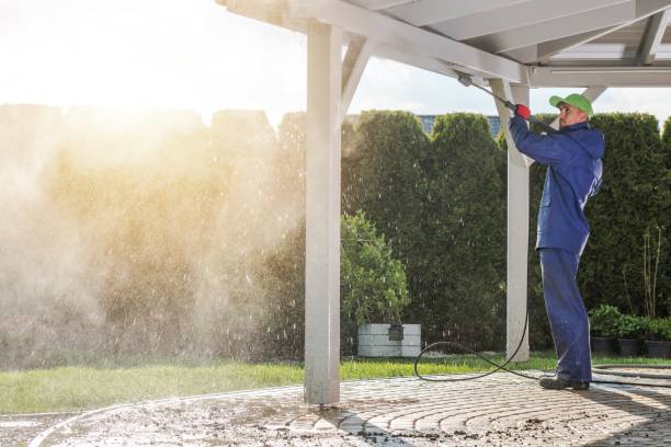 Best Dumpster Area Cleaning  in Seeley Lake, MT